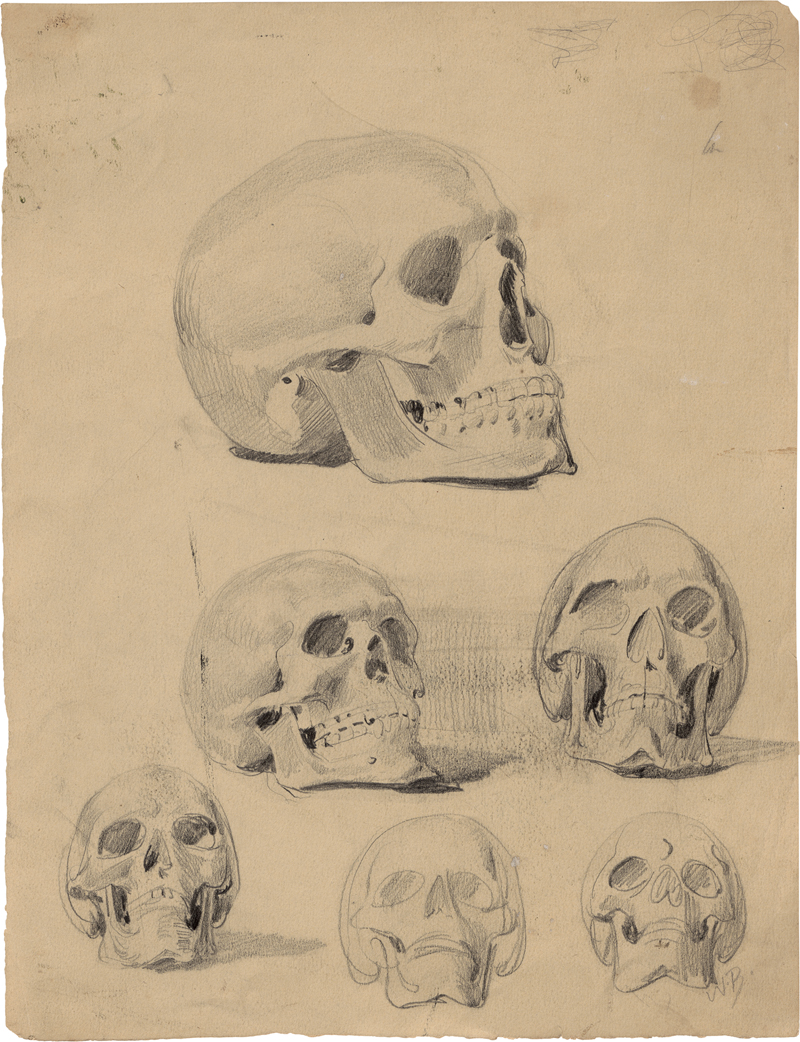 Lot 6673, Auction  127, Busch, Wilhelm, Sechs Schädelstudien