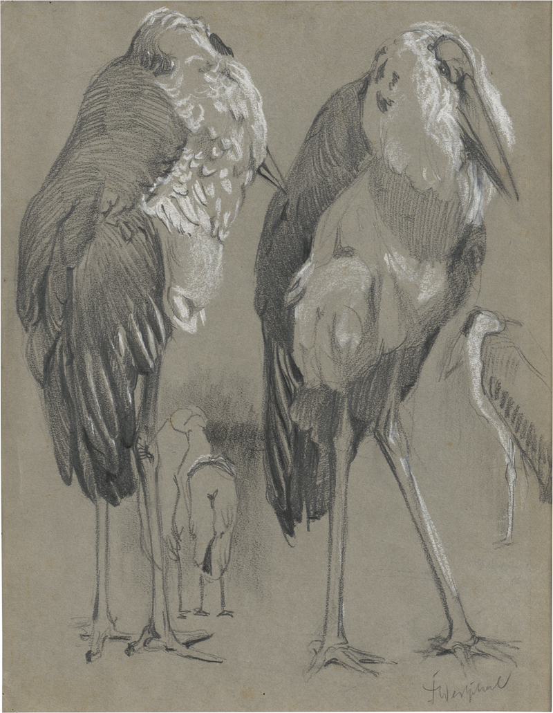 Lot 6739, Auction  127, Westphal, Friedrich, Marabus