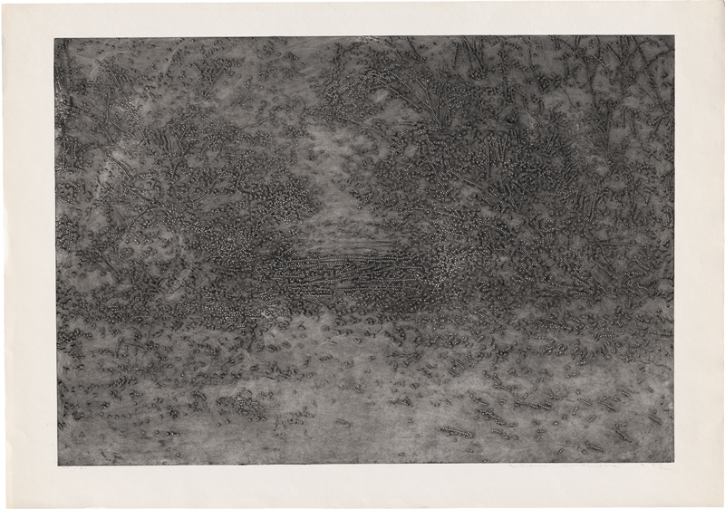 Lot 7223, Auction  127, Kučerová, Alena, Ohne Titel (Waldwiese)