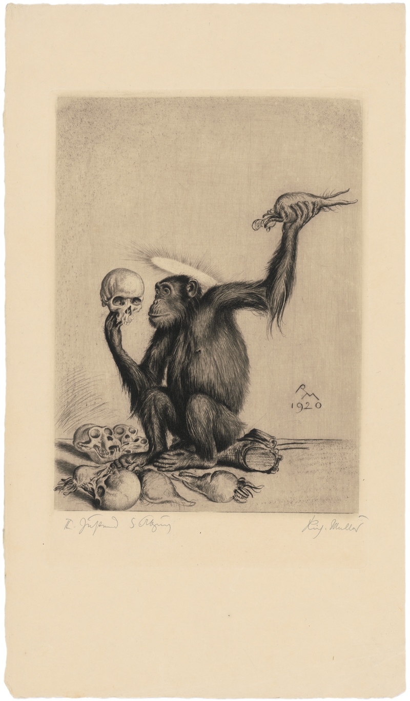 Lot 8085, Auction  127, Müller, Richard, Encephalocranioskopie (Hirnschädelschau)