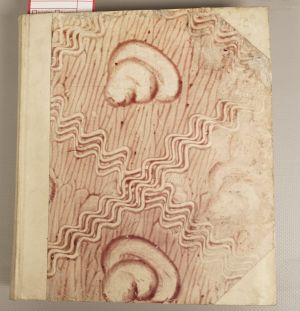 Los 115 - Abel, Caspar - Stiffts- Stadt- und Land-Chronick - 1 - thumb