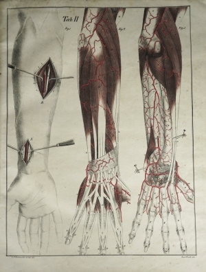 Los 203 - Bierkowski, Ludwig Joseph von - Anatomisch-chirurgische Abbildungen nebst Darstellungen ud Beschreibungen - 3 - thumb