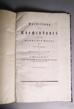 Los 210 - Fischer, Johann Martin - Darstellung des Knochenbaues von dem menschlichen Körper - 2 - thumb