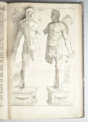 Los 219 - Hellwig, Christoph von - Anatomicum vivum Frankfurt und Leipzig, Hieronymus Philipp Ritschel, (1720).  - 3 - thumb