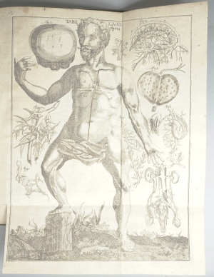 Los 219 - Hellwig, Christoph von - Anatomicum vivum Frankfurt und Leipzig, Hieronymus Philipp Ritschel, (1720).  - 7 - thumb