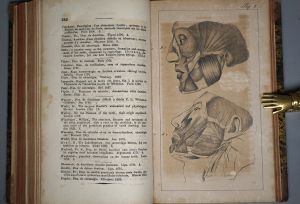Los 226 - Maury, F. - Handbuch der Zahnarzneikunde, nach dem gegenwärtigen Standpuncte der Wissenschaft - 3 - thumb