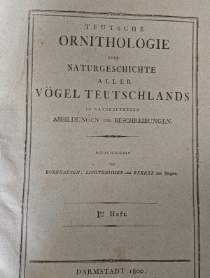 Los 281 - Borckhausen, Moritz Balthasar - Teutsche Ornithologie - 12 - thumb