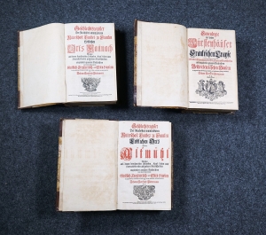 Los 407 - Biedermann, Johann Gottfried - Geschlechtsregister des hochadeligen Patriciats zu Nürnberg - 9 - thumb