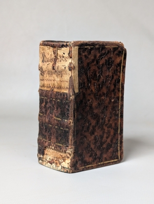Los 428 - Praetorius, Johann - Daemonologia Rubinzalii Silesii - 1 - thumb
