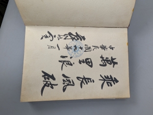 Los 474 - Konsularstempel-Album - Album mit ca. 160 Stempeln von internationalen Konsulaten und konsularischen Vertretungen - 3 - thumb