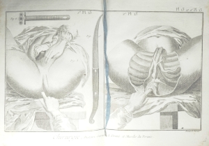 Los 531 - Diderot, Denis und Jean d'Alembert - Encyclopedie, ou dictionnaire raisonné des sciences - 7 - thumb