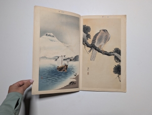 Los 574 - Ohara, Koson - Album mit 12 Farbholzschnitten mit Darstellungen von Flora und Fauna (vorwiegend Vögel) - 7 - thumb