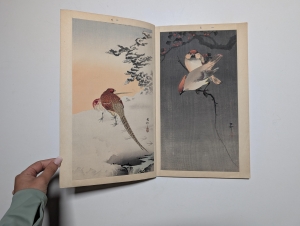 Los 574 - Ohara, Koson - Album mit 12 Farbholzschnitten mit Darstellungen von Flora und Fauna (vorwiegend Vögel) - 11 - thumb