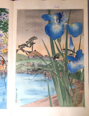 Los 586 - Ukiyo-e Blockbuch - Privat kompiliertes Album mit 43 japanischen Farbholzschnitten verschiedener Künstler und Schulen - 15 - thumb