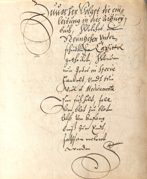 Los 1015a - Artzney Buch, - darinnen zur Notturft Menschlichen Leibß. Deutsche Hs. auf Papier - 8 - thumb
