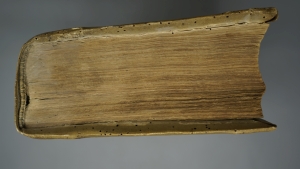 Los 1121 - Paracelsus, Theophrast - Opus chyrurgicum. Wund und Artzney Buch [und:] Astronomia magna - 4 - thumb