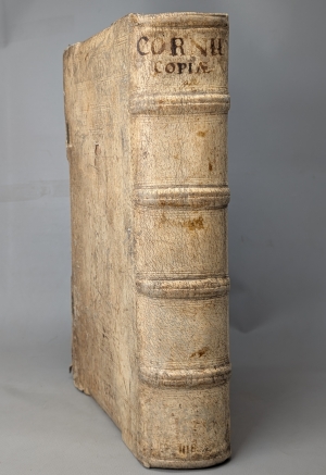 Los 1123 - Perottus, Nicolaus - Cornucopiae, seu latinae linguae commentarii locupletissimi - 8 - thumb