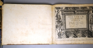 Los 1154 - Vredemann de Vries, Hans - Hortorum viridariorumque elegantes - 7 - thumb